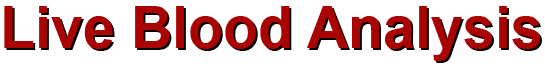 Live-Blood-Analysis